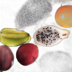 Maninka Fruit